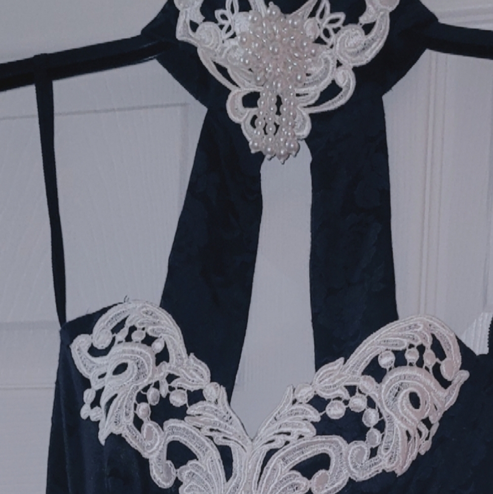 Jessica McClintock Navy and Cream Embroidered Prom Dress